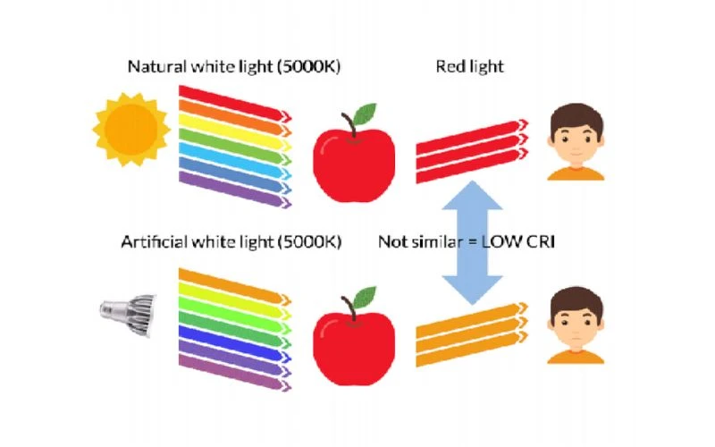 Light Performance